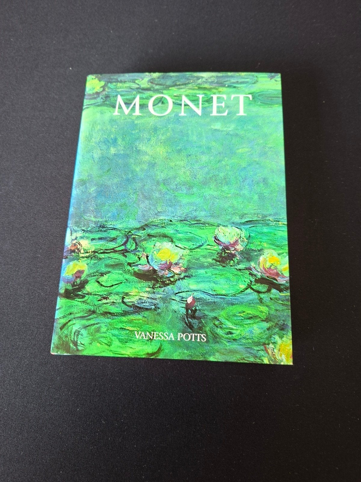 Monet - Kunstboek van Vanessa Potts, Ophalen of Verzenden, Zo goed als nieuw, Overige onderwerpen, Vanessa Potts