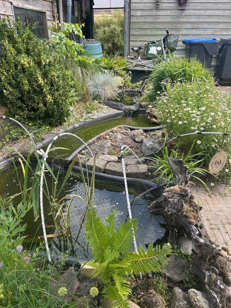 Complete siervijver, Tuin en Terras, Vijvers, Ophalen, Gebruikt