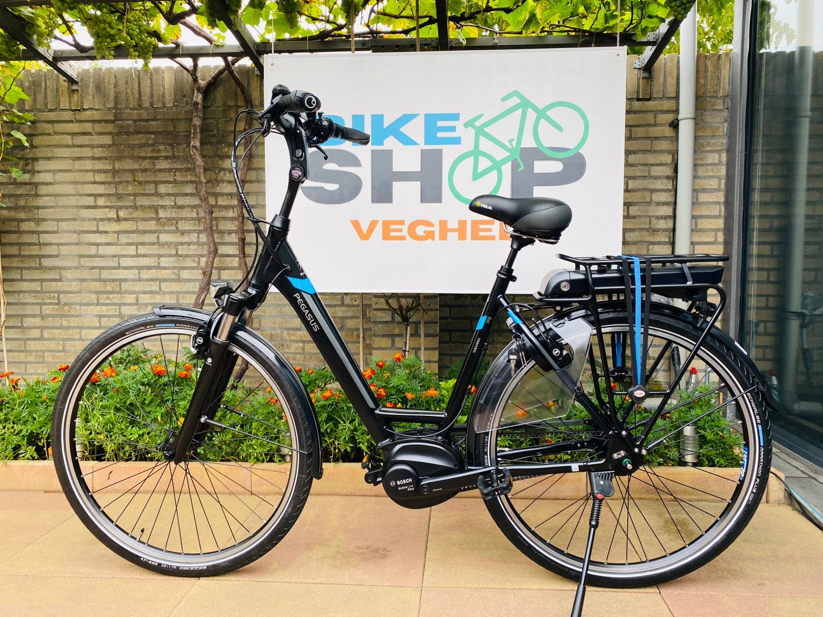 Elektrische Pegasus Bosch Middenmoto Active Line Plus.D55, 53 tot 56 cm, Ophalen of Verzenden, Zo goed als nieuw, 5467kc