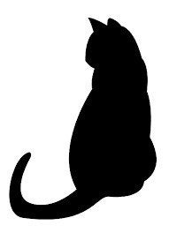 kattenoppas gezocht zie advertentie, Dieren en Toebehoren, Ophalen