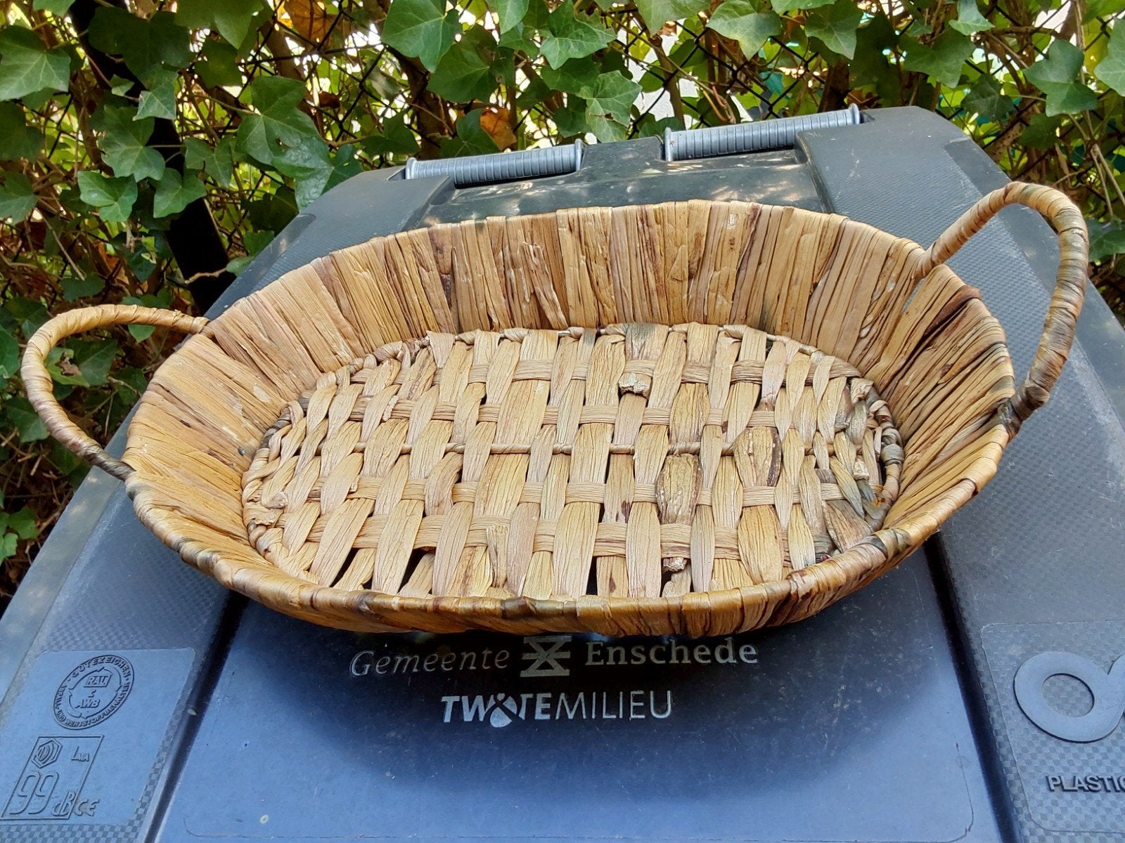Decoratieve rieten mand, schaal of dienblad met handvatten, Ophalen, Gebruikt, Mand, Handgemaakt