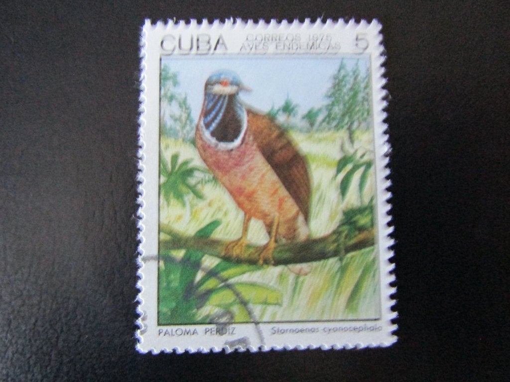 Postzegel Vogel: Blauwkop-Kwartelduif uit Cuba, Ophalen of Verzenden, Gestempeld, Dier of Natuur