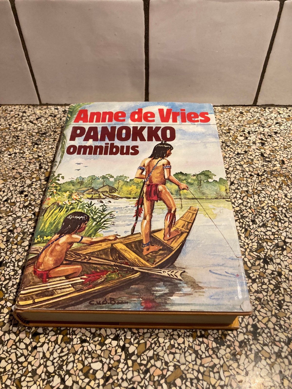 Panokko omnibus, Boeken, Ophalen of Verzenden, Zo goed als nieuw