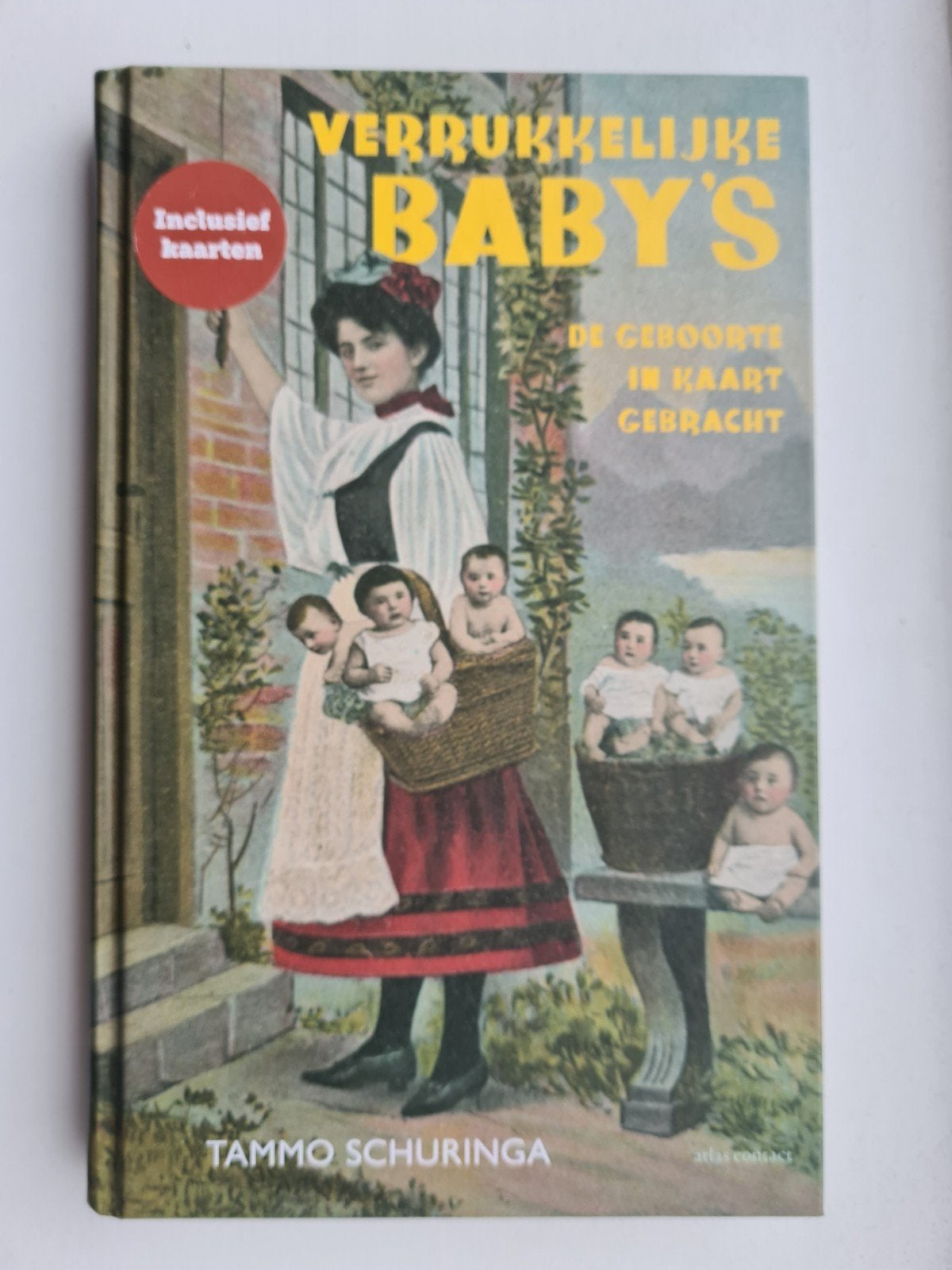 VERRUKKELIJKE BABY'S geboorte in kaart gebracht Tartarie, Ophalen, Zo goed als nieuw, Tammo Schuringa