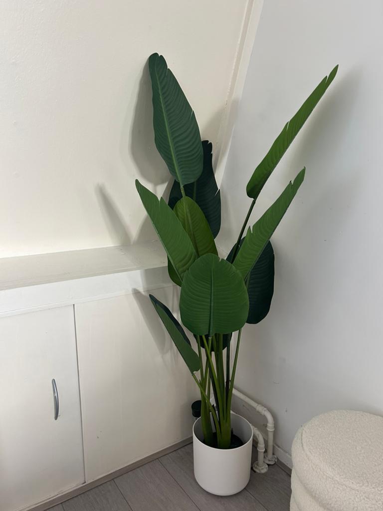 Strelitzia kunst plant 160cm, Overige soorten, In pot, 150 tot 200 cm, Halfschaduw