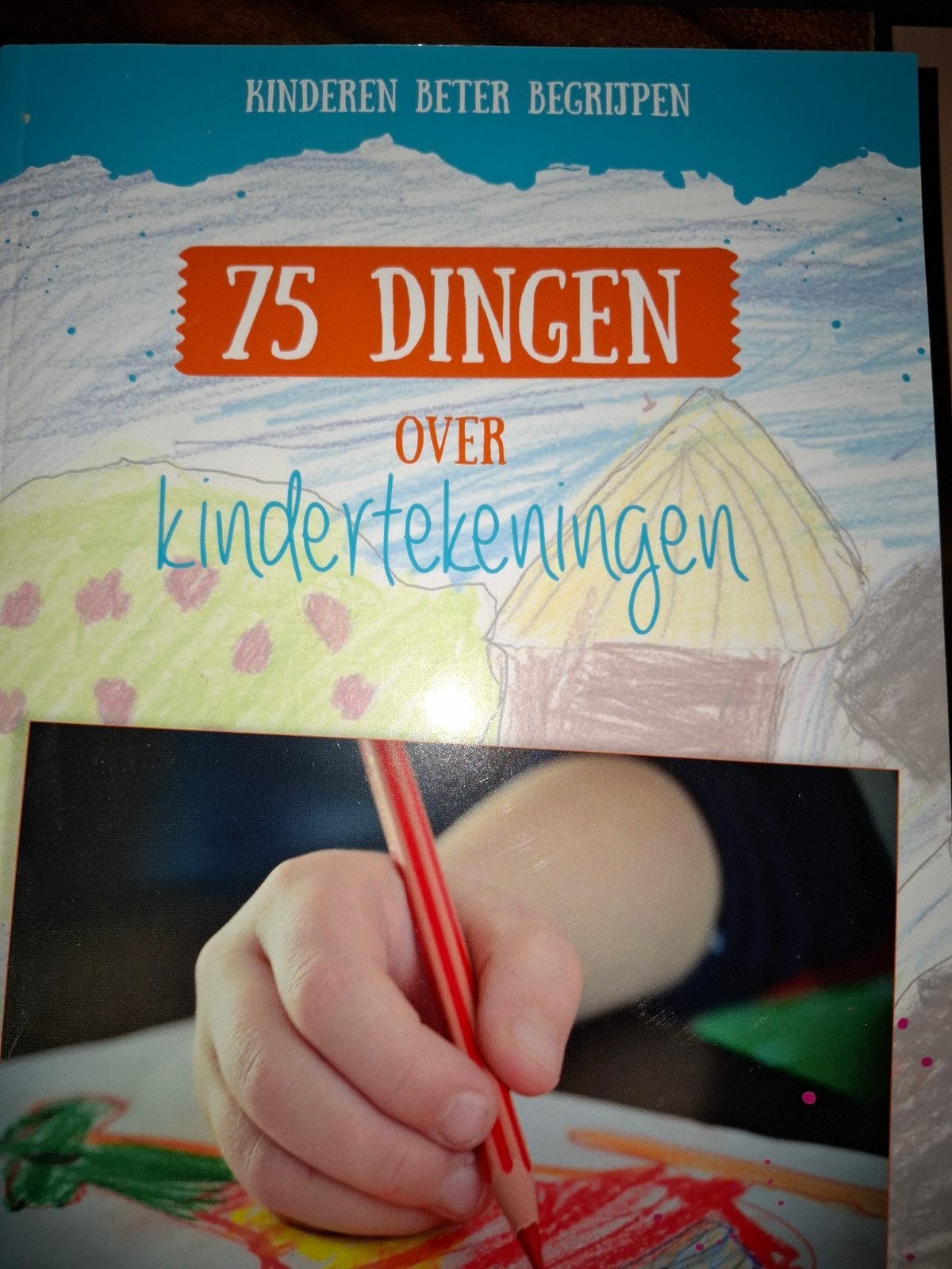 Eveline Ruitenberg - 75 dingen over kindertekeningen, Eveline Ruitenberg, Ophalen of Verzenden, Zo goed als nieuw, Nederlands