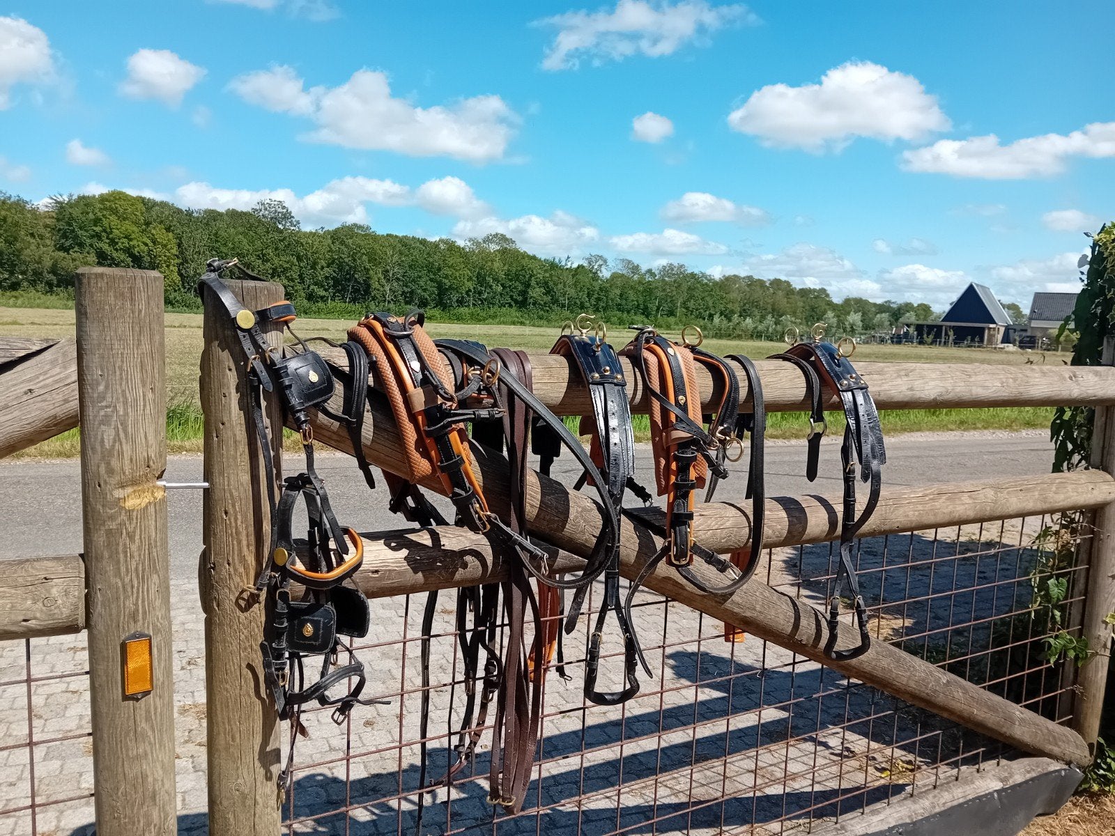 shetlander span tuig, Shetlander, Gebruikt, Overige disciplines, Meerkleurig