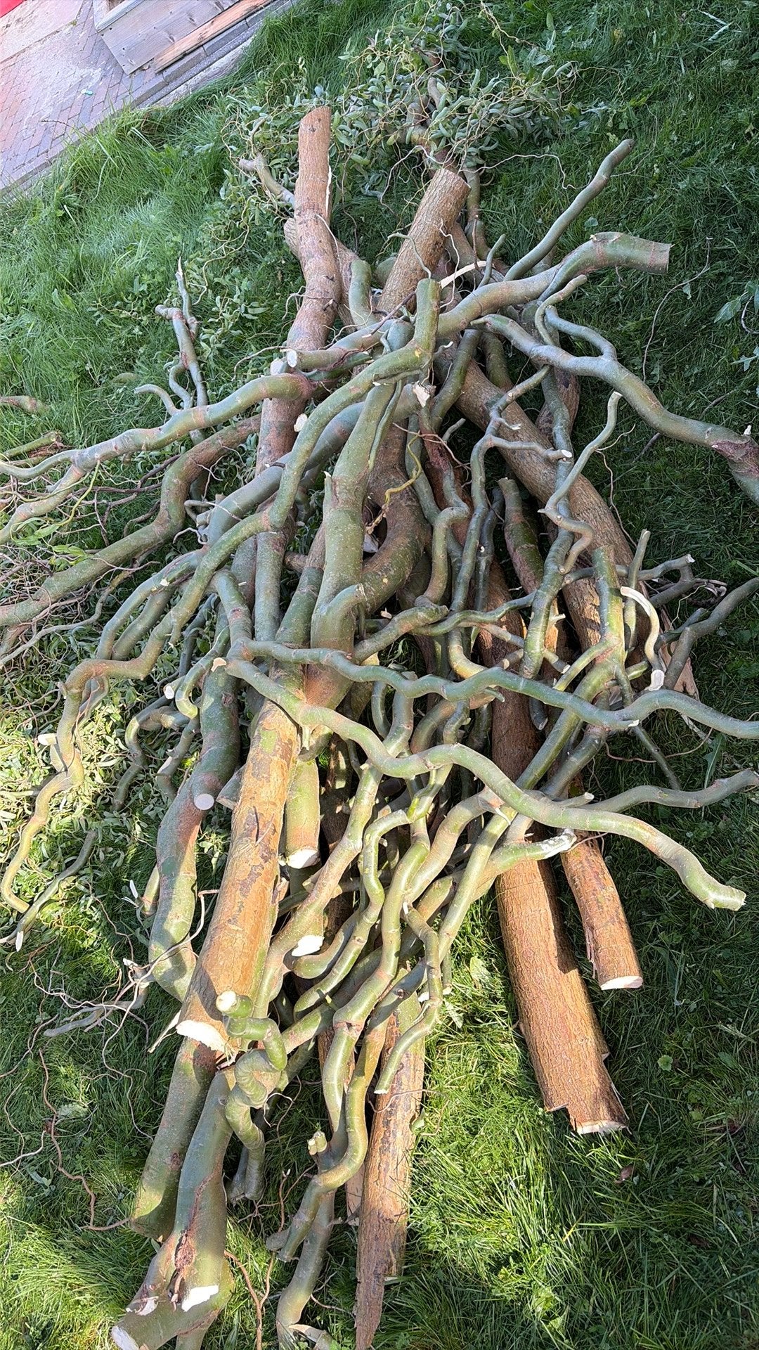 Kachel hout, Minder dan 3 m³, Ophalen, Stammen