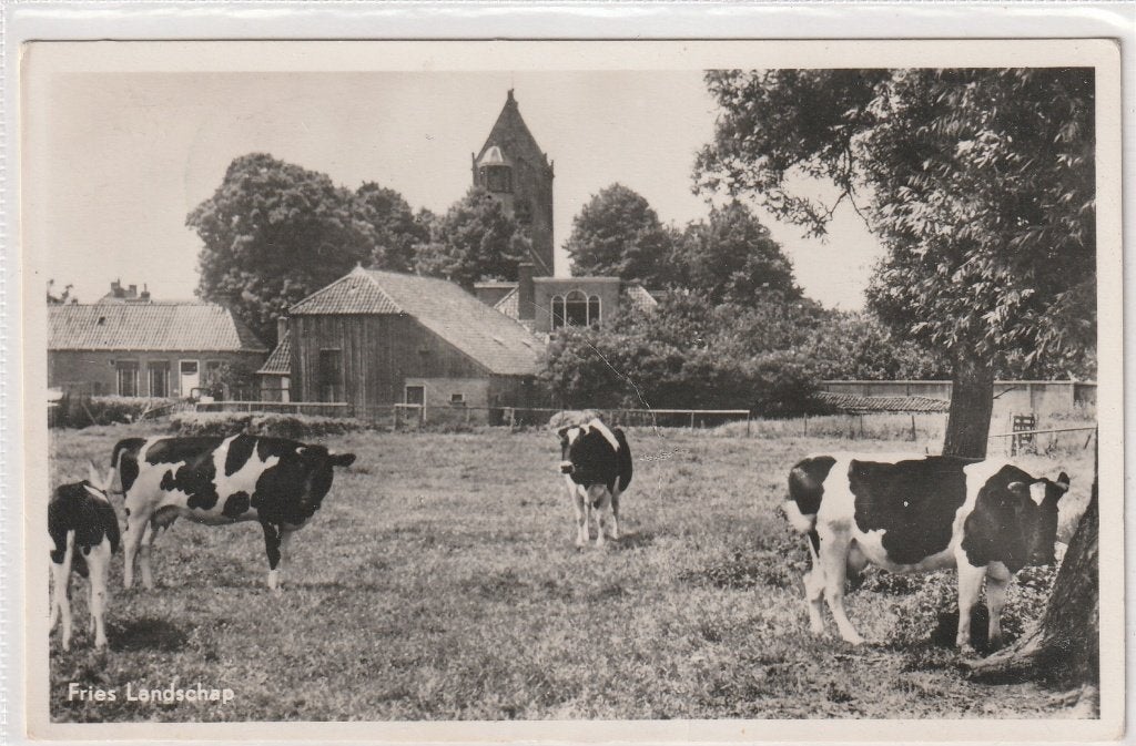 Grouw, Ophalen of Verzenden, 1940 tot 1960, Gelopen, Friesland