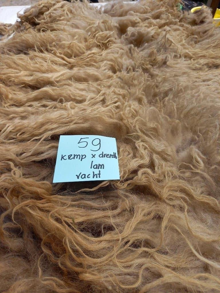 nr 59 Geschoren vacht Drents  x Kempisch heideschaap lam, Ophalen of Verzenden, Gebruikt