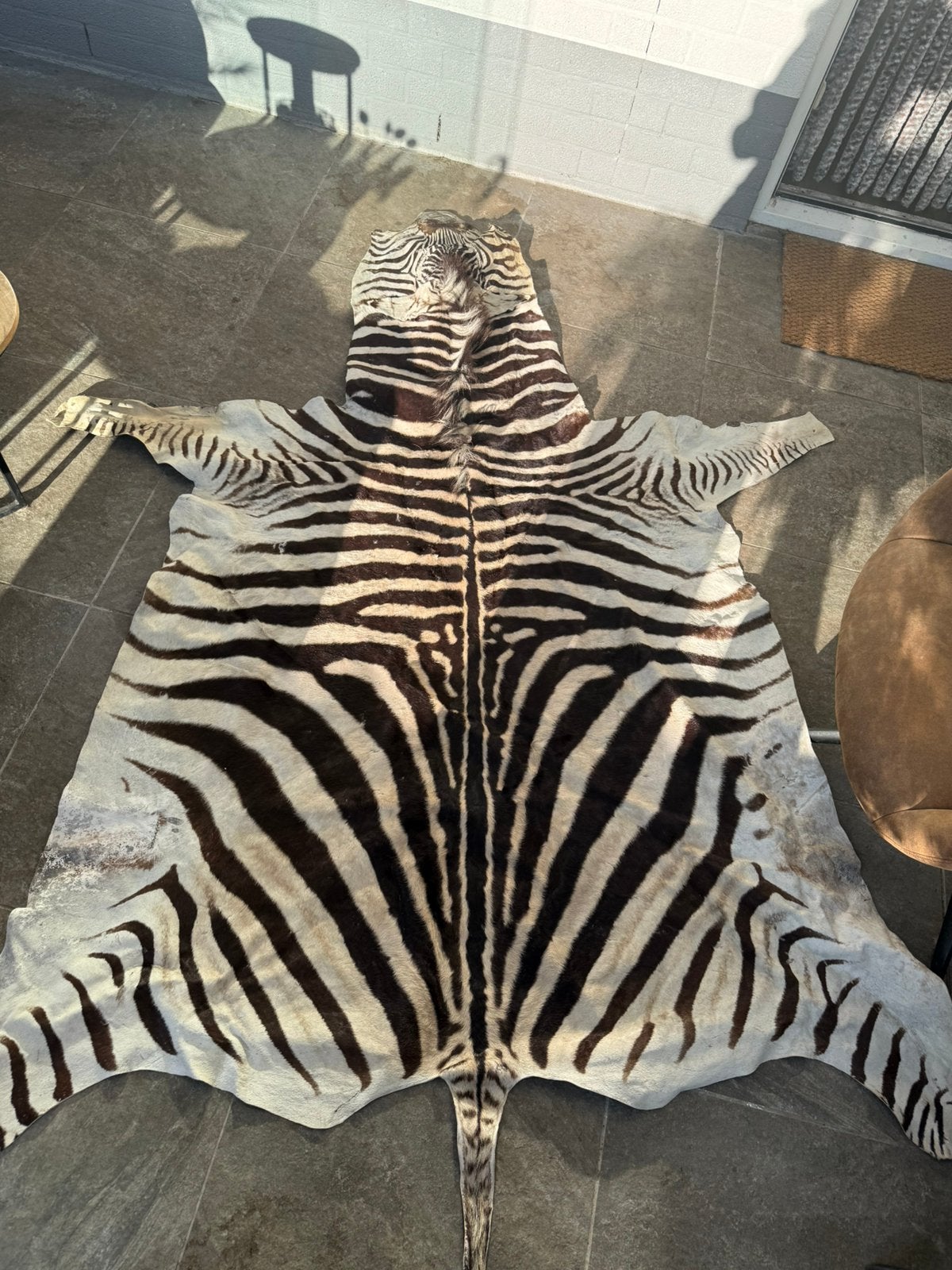 Echte zebrahuid eyecatcher, Ophalen of Verzenden, Zo goed als nieuw, Rechthoekig