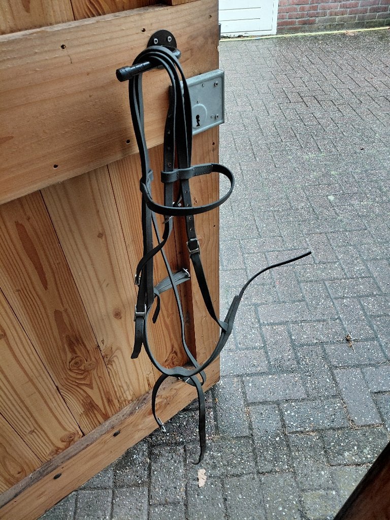 Hoofdstel kunststof, Ophalen, Hoofdstel, Overige disciplines, Full