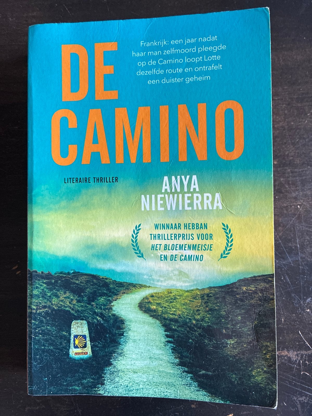 De Camino - Anya Niewierra (Literaire thriller), Boeken, Ophalen of Verzenden, Zo goed als nieuw, Nederland