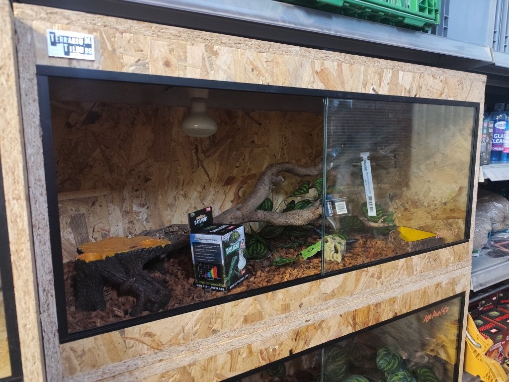 Osb3 terrarium 100/45/50 ingericht (1), Ophalen, Nieuw, Terrarium of Paludarium