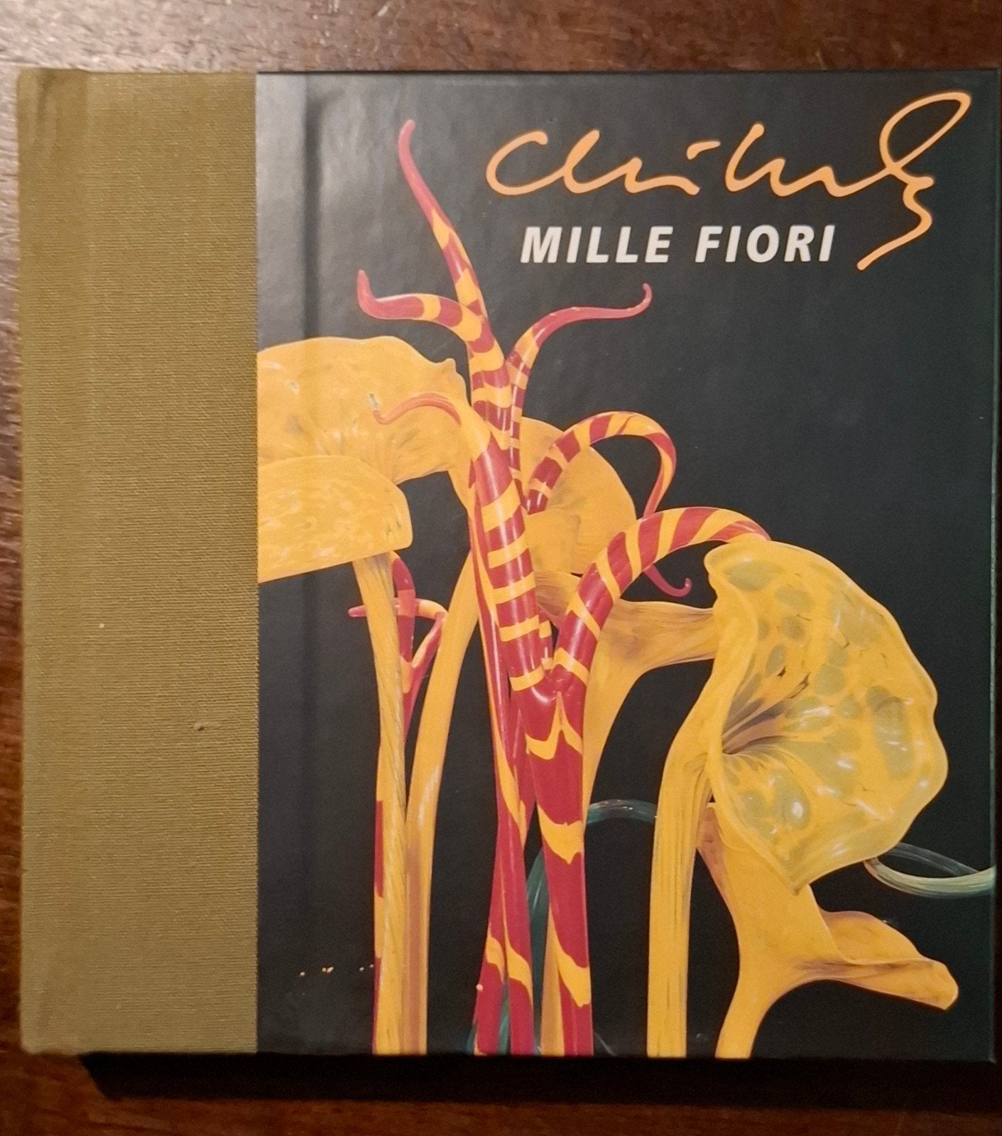 Chihuly Mille Fiori Kunstboek met CD-ROM, Ophalen of Verzenden, Zo goed als nieuw, Overige onderwerpen, Chihuly