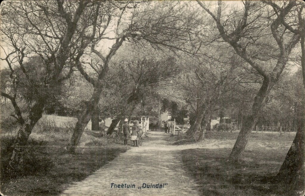 Duindal - Theetuin - Wandelpad, Ophalen of Verzenden, 1920 tot 1940, Gelopen, Zuid-Holland