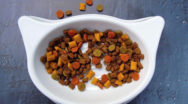 Gezocht kattenvoer, Dieren en Toebehoren, Dierenvoeding, Kat, Ophalen