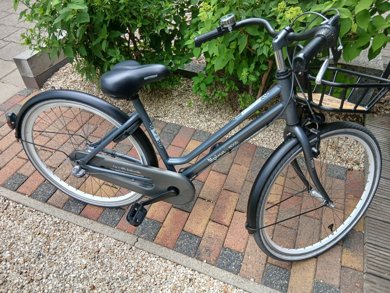 Alpina mood 26 inch hele mooie meisjes fiets, Minder dan 47 cm, Ophalen, Zo goed als nieuw, Versnellingen