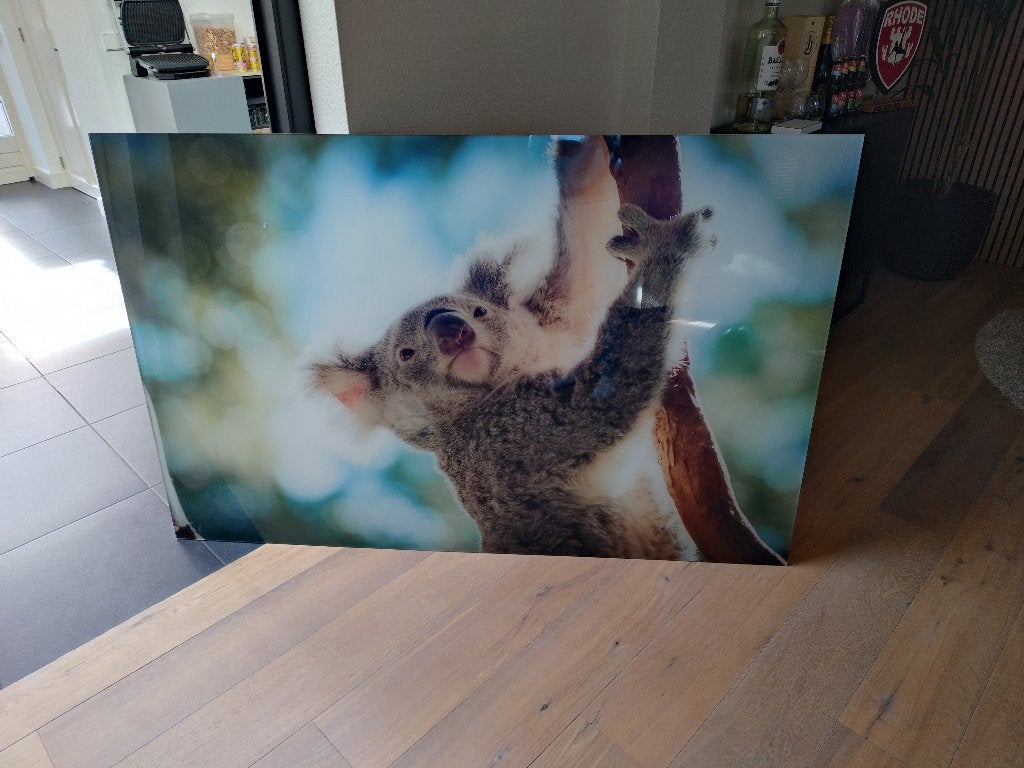 Plexiglas foto/schilderij, Ophalen, Kunststof, Dieren
