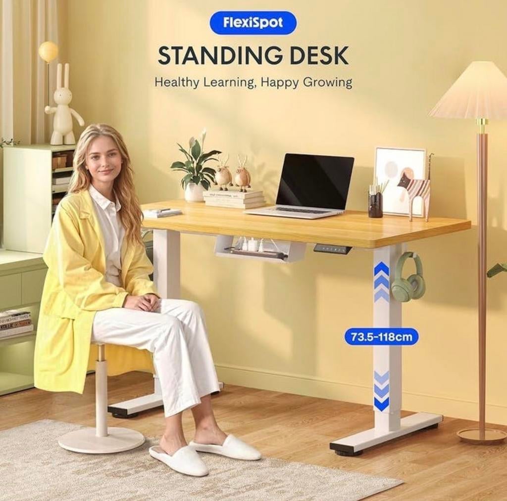 FlexiSpot Zit-sta Bureau - Ergonomisch en Verstelbaar NIEUW, Huis en Inrichting, Bureaus, Ophalen, Zit-sta bureau, Elektrisch
