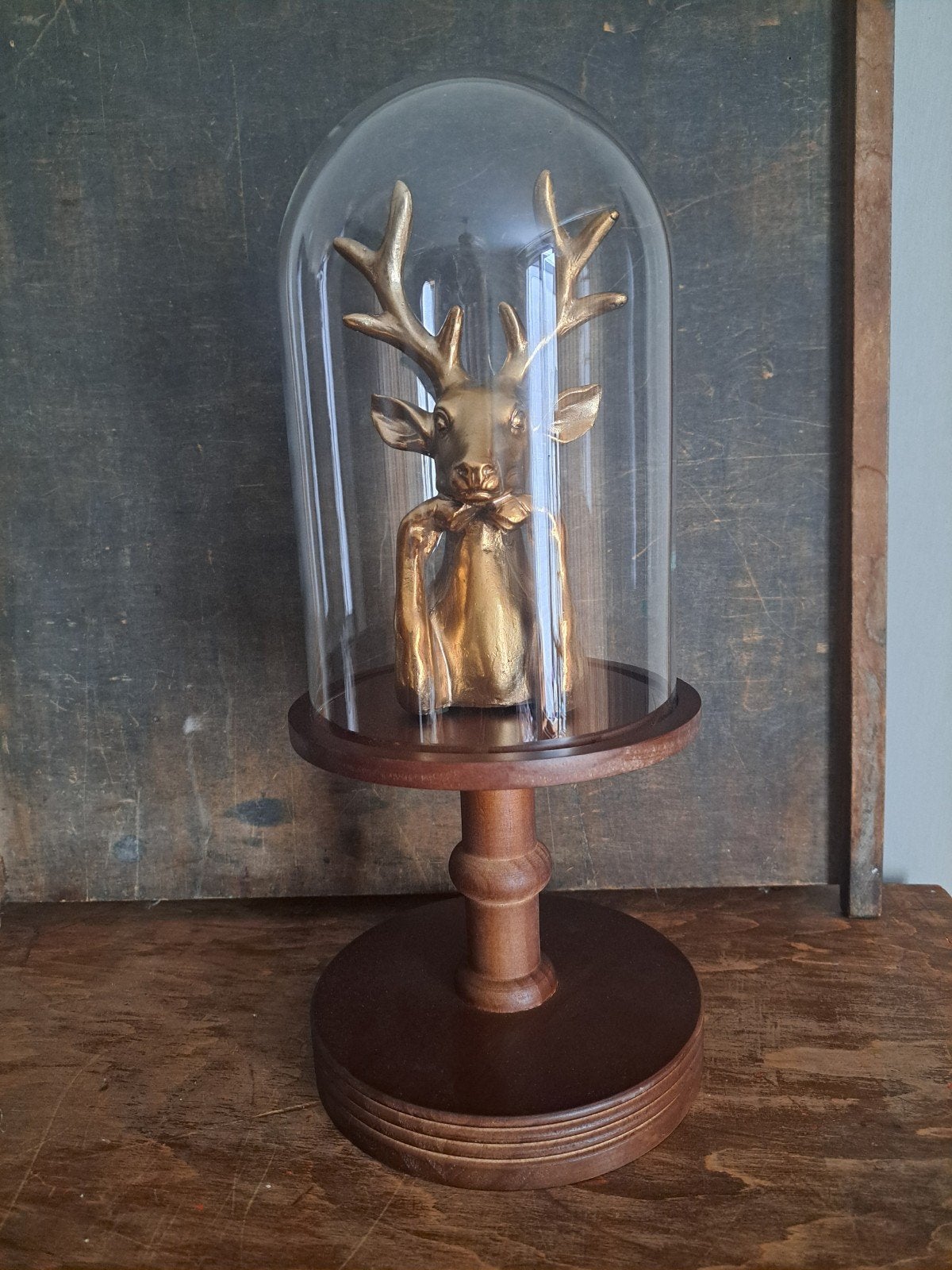 Glazen stolp op houten voet sober,landelijk, Nieuw, Ophalen of Verzenden, X, X