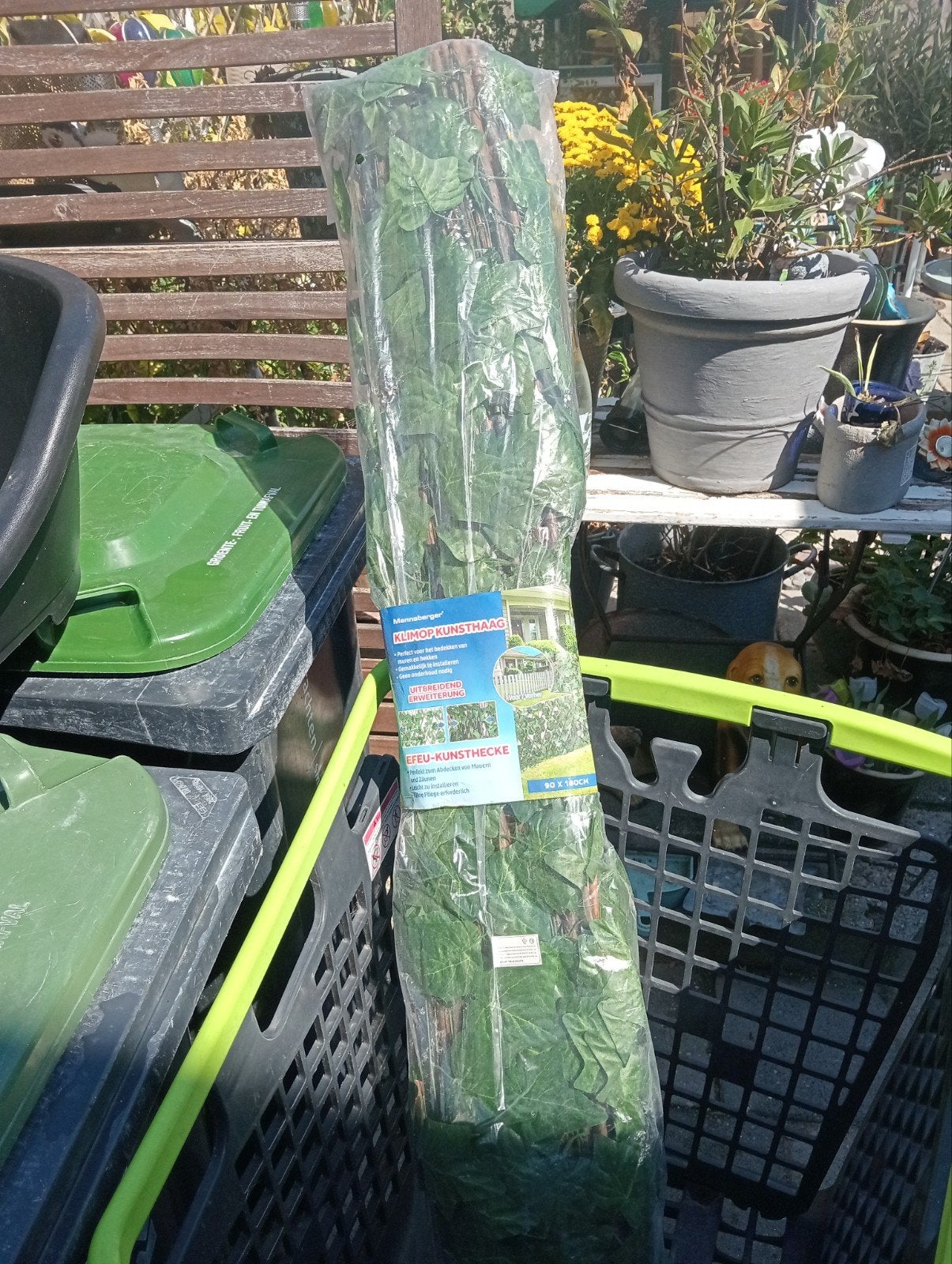 Kunsthaag Klimop - Decoratieve en onderhoudsvrije haag 5;stu, Tuin en Terras, Ophalen of Verzenden
