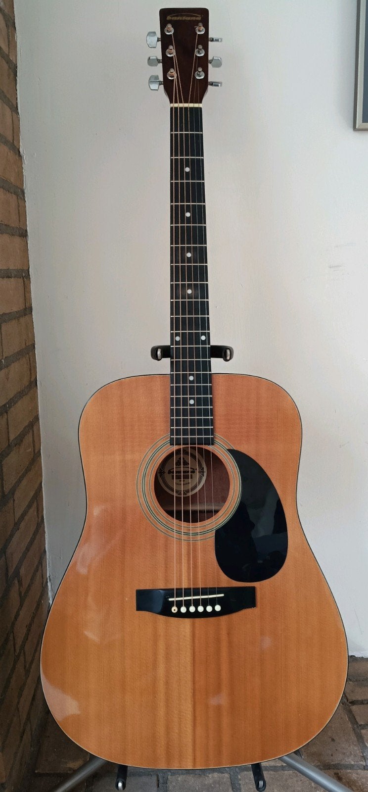 Santana D-8 gitaar, Ophalen, Gebruikt, Western- of Steelstringgitaar
