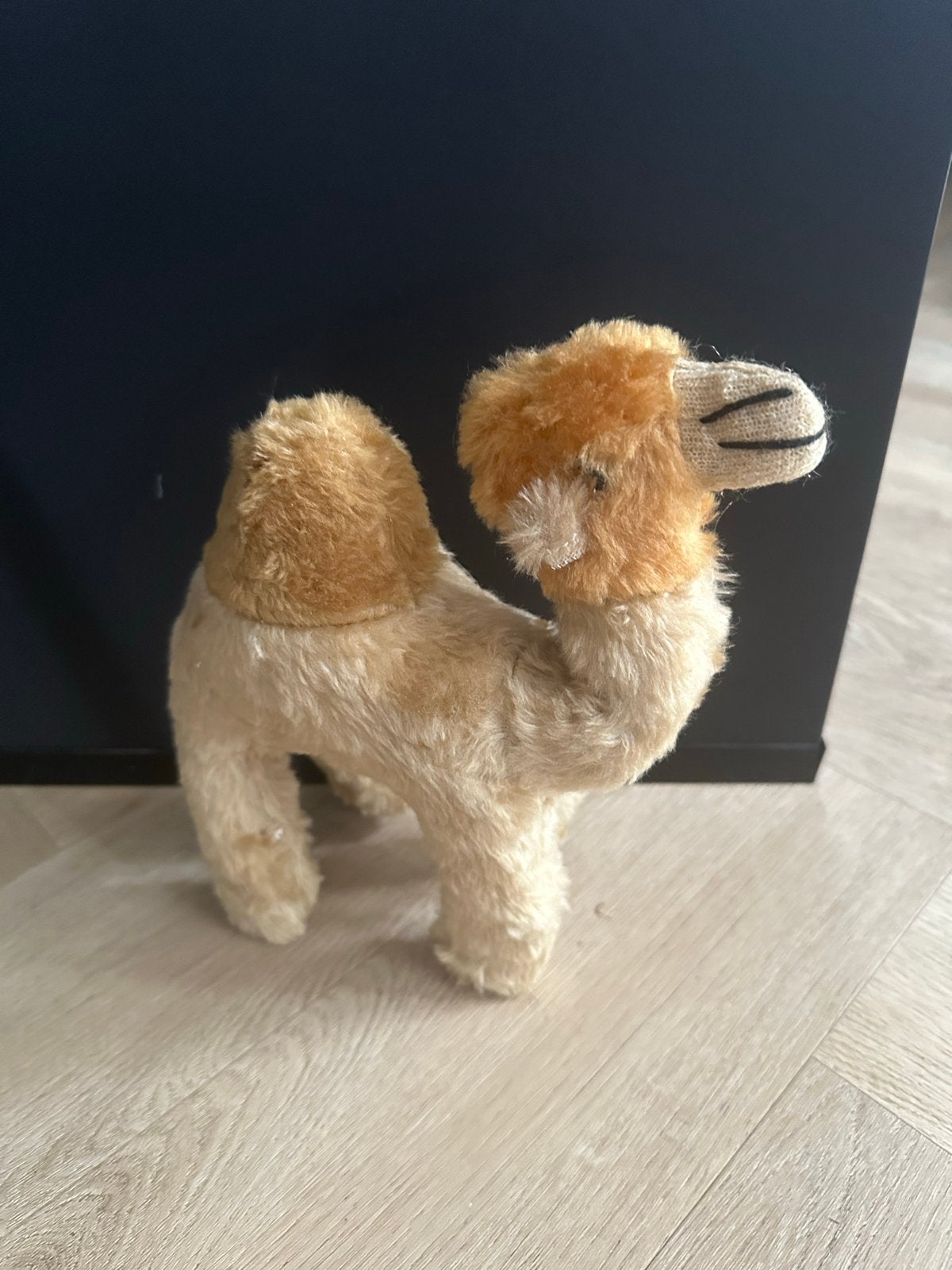 Knuffel Kameel, Overige typen, Ophalen of Verzenden, Zo goed als nieuw, Middelgroot (20 tot 80 cm)