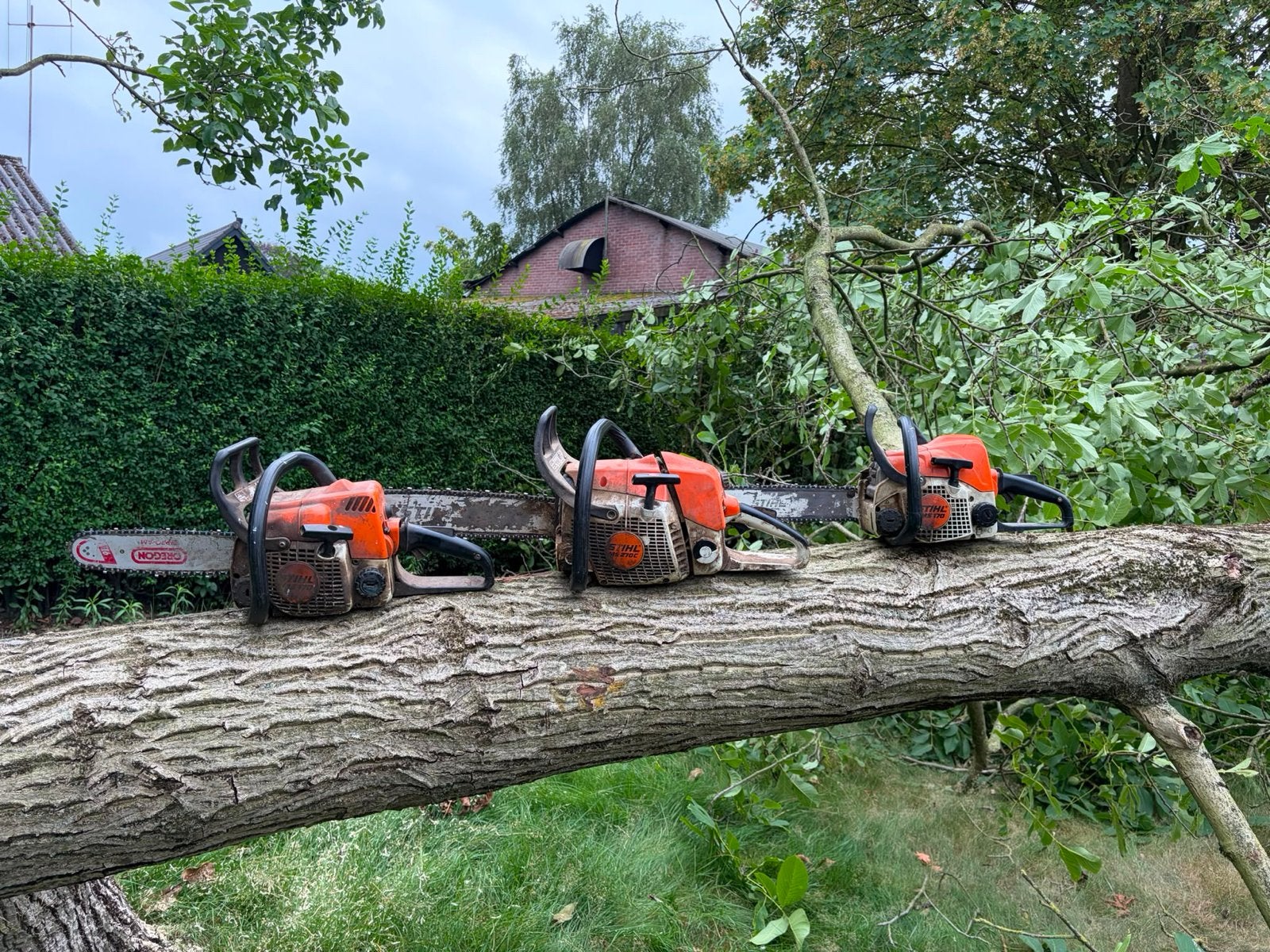 Stihl motorzagen - goed werkend, wegens verhuizing, Ophalen, Gebruikt, 70 mm of meer, Kettingzaag