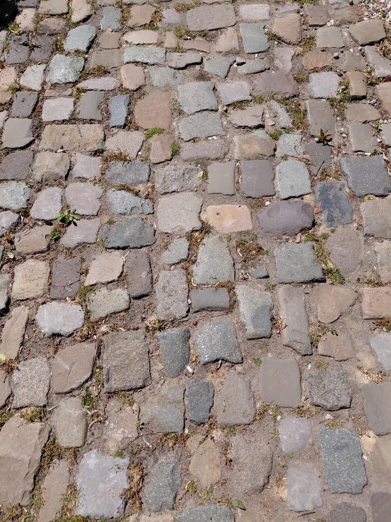 250m2 kinderkopjes, gratis af te halen, Tuin en Terras, Ophalen of Verzenden