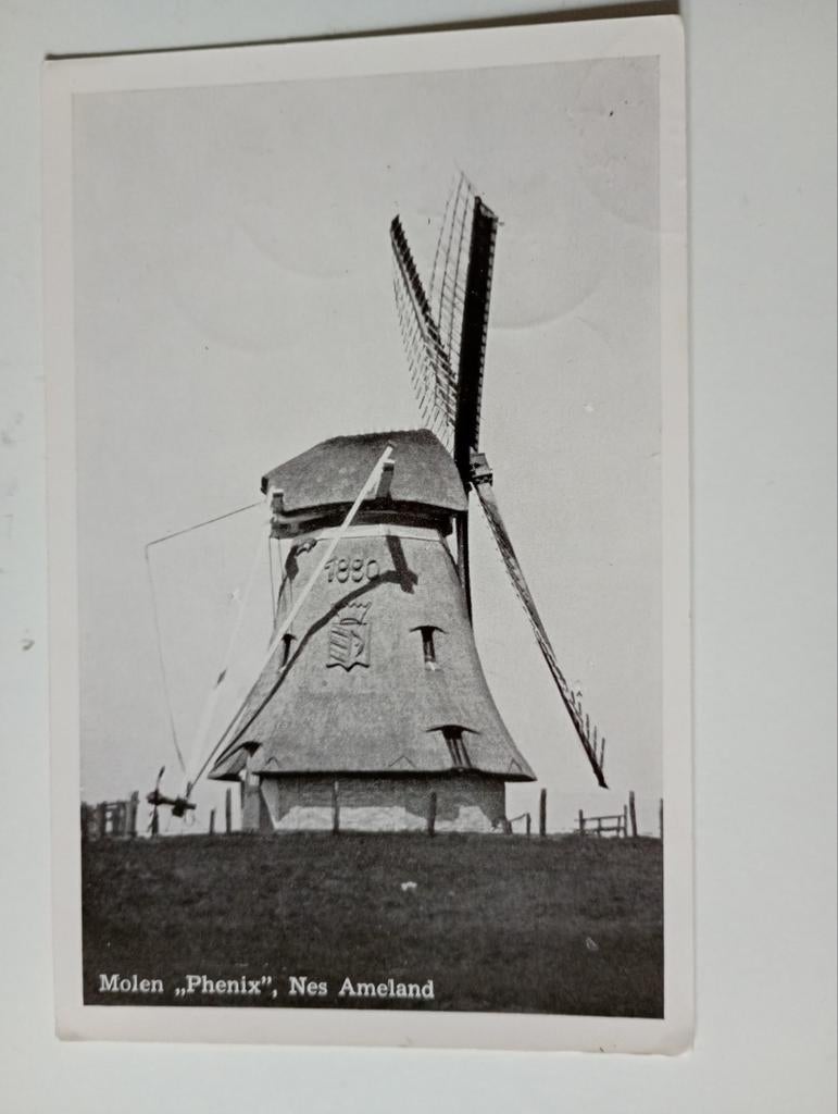 Ameland Nes Molen Phenix 1954, Ophalen of Verzenden, 1940 tot 1960, Gelopen, Waddeneilanden