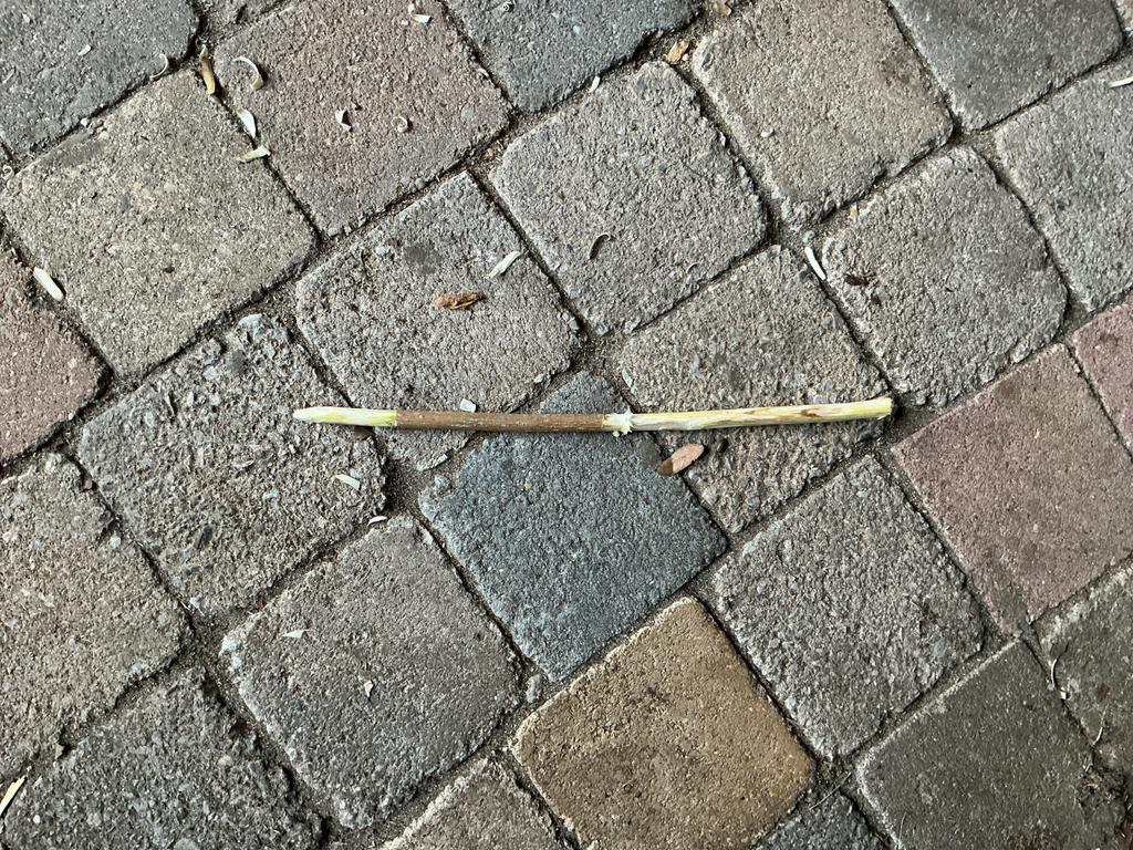 Harry potter toverstokken, Ophalen, Nieuw, Replica