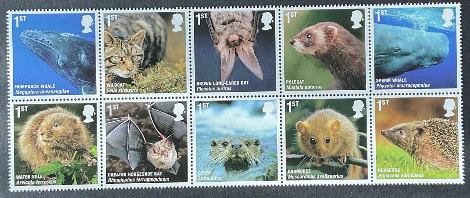 2010 England. Action for Species Mammals (4th series) MNH, Ophalen of Verzenden, Postfris