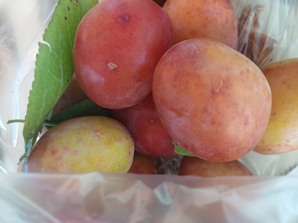 Appels pruimen druiven, Diversen, Ophalen of Verzenden