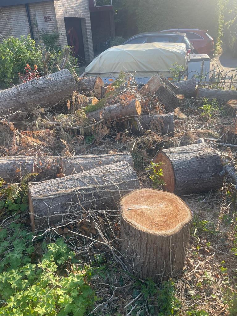Gratis boomstammen/hout/brandhout af te halen, Tuin en Terras, Haardhout, 6 m³ of meer, Ophalen, Overige houtsoorten, Stammen