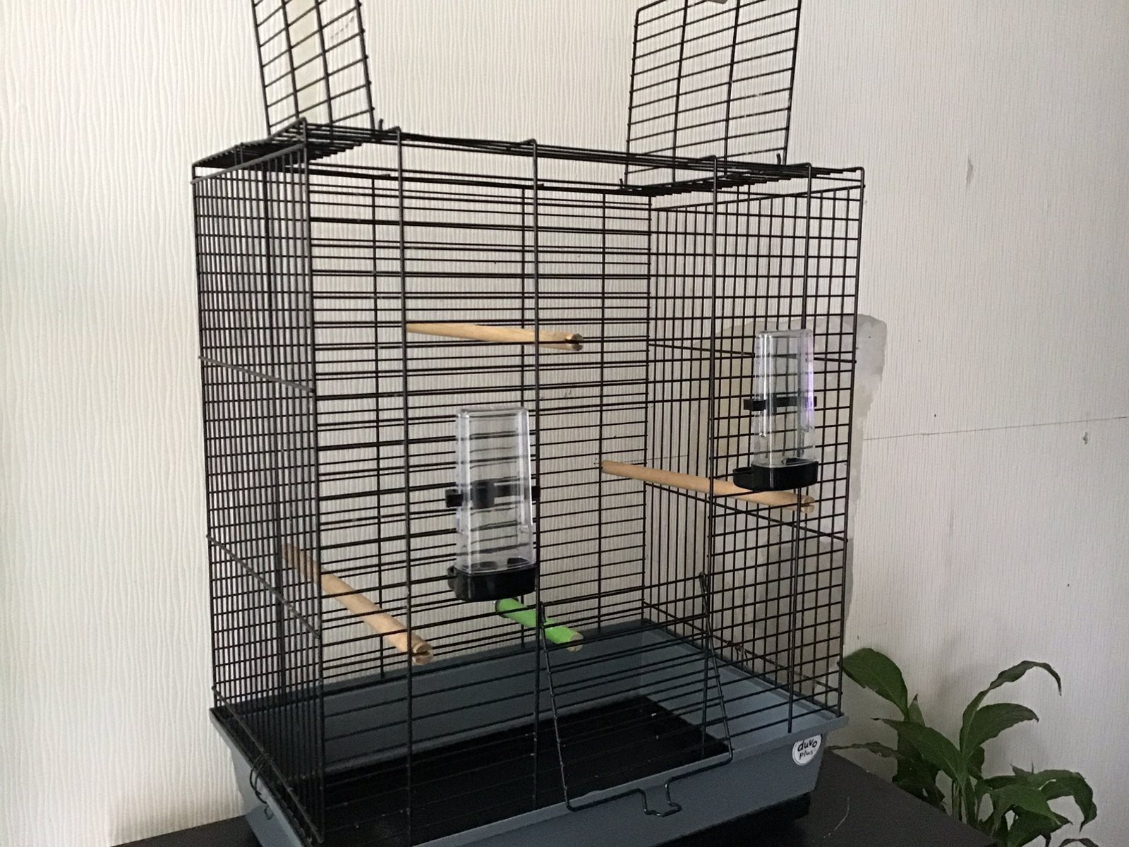Mooie vogel kooi, Ophalen, Zo goed als nieuw, Metaal, Vogelkooi
