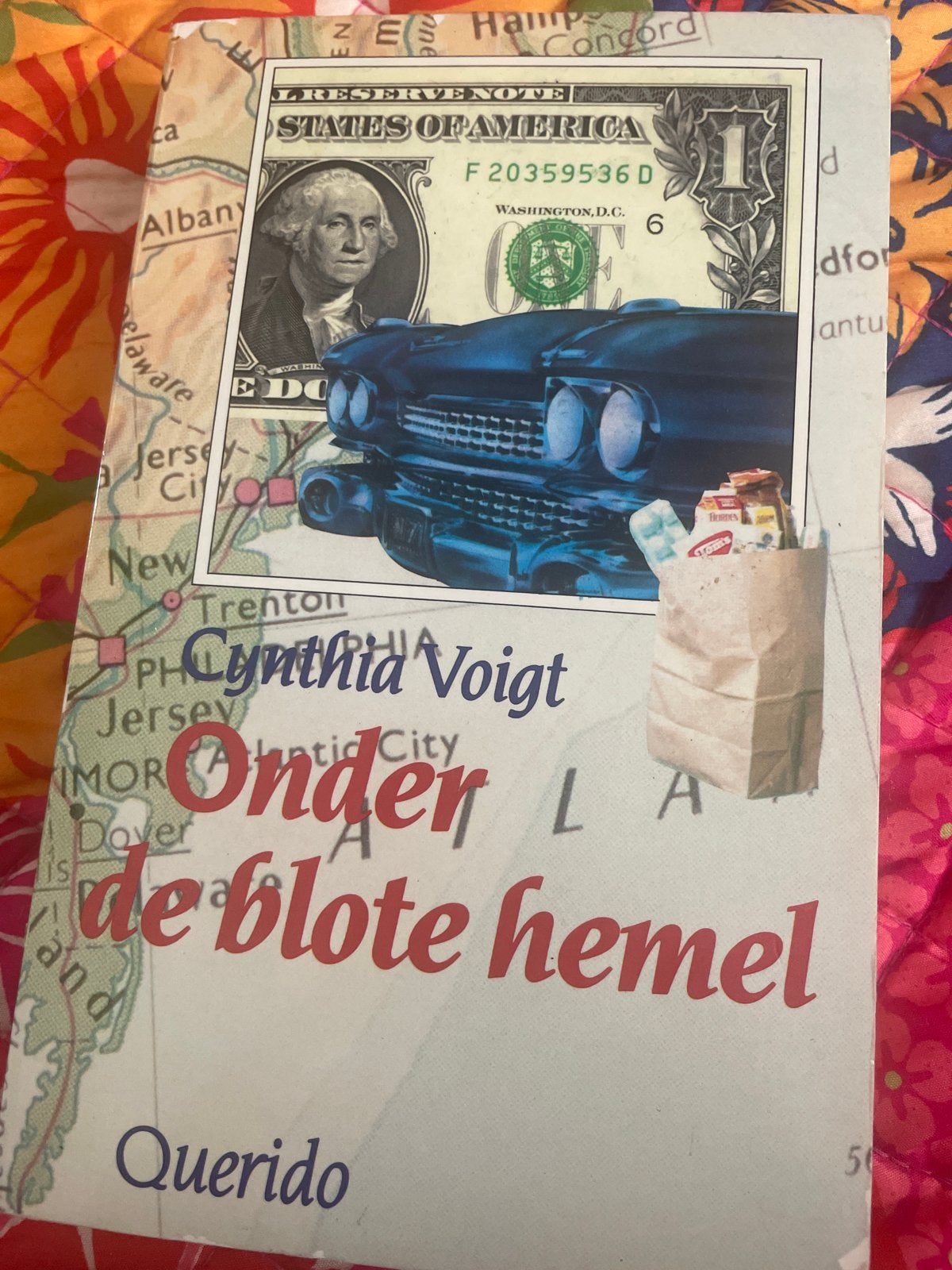 Onder de blote hemel - Cynthia Voigt (Querido, 1987), Ophalen of Verzenden, Gelezen, Amerika
