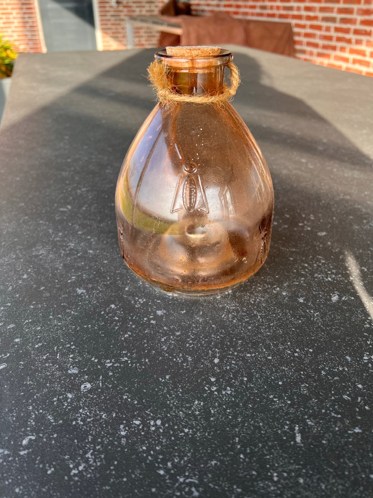 Decoratieve Wespenvanger - Glazen Fles met Touw, Tuin en Terras, Verzenden, Zo goed als nieuw