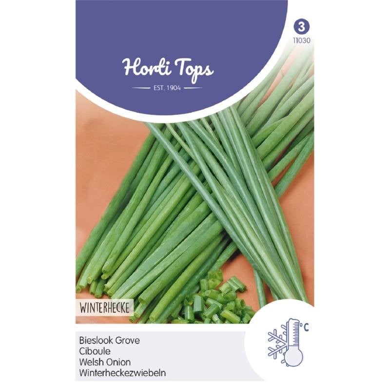 Horti Tops Bieslook Grove kruidenzaden - nieuw, Ophalen of Verzenden, Voorjaar, Volle zon, Zaad