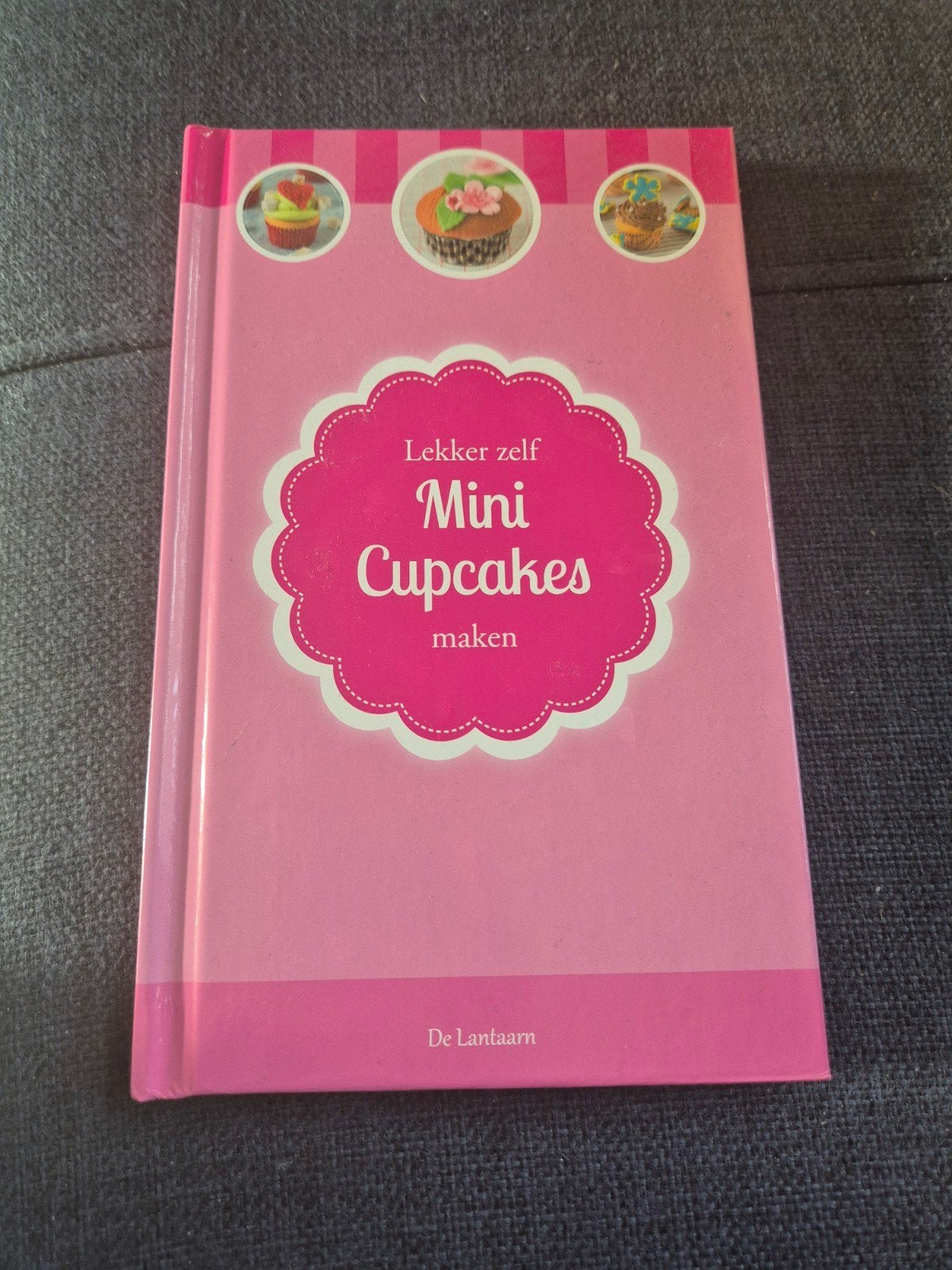 Lekker zelf Mini Cupcakes maken - Receptenboek, Onbekend, Ophalen of Verzenden, Zo goed als nieuw, Taart, Gebak en Desserts