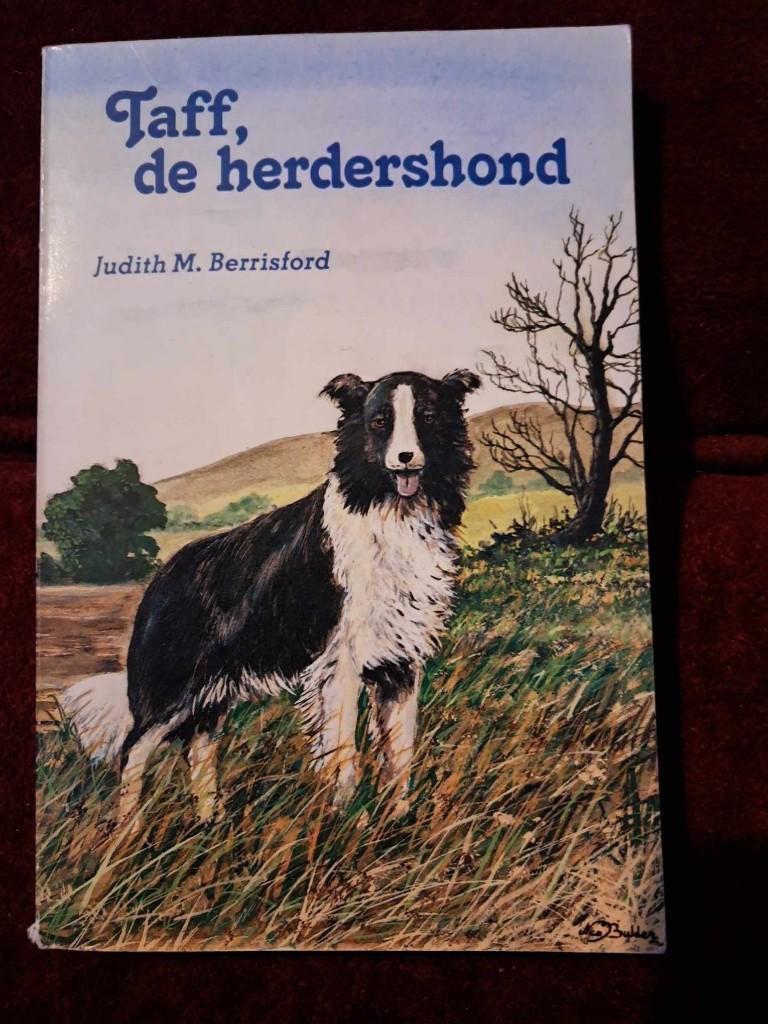 2 jeugdpockets [taff/enid blyton], Boeken, Ophalen, Gelezen, Diverse schrijvers, Fictie
