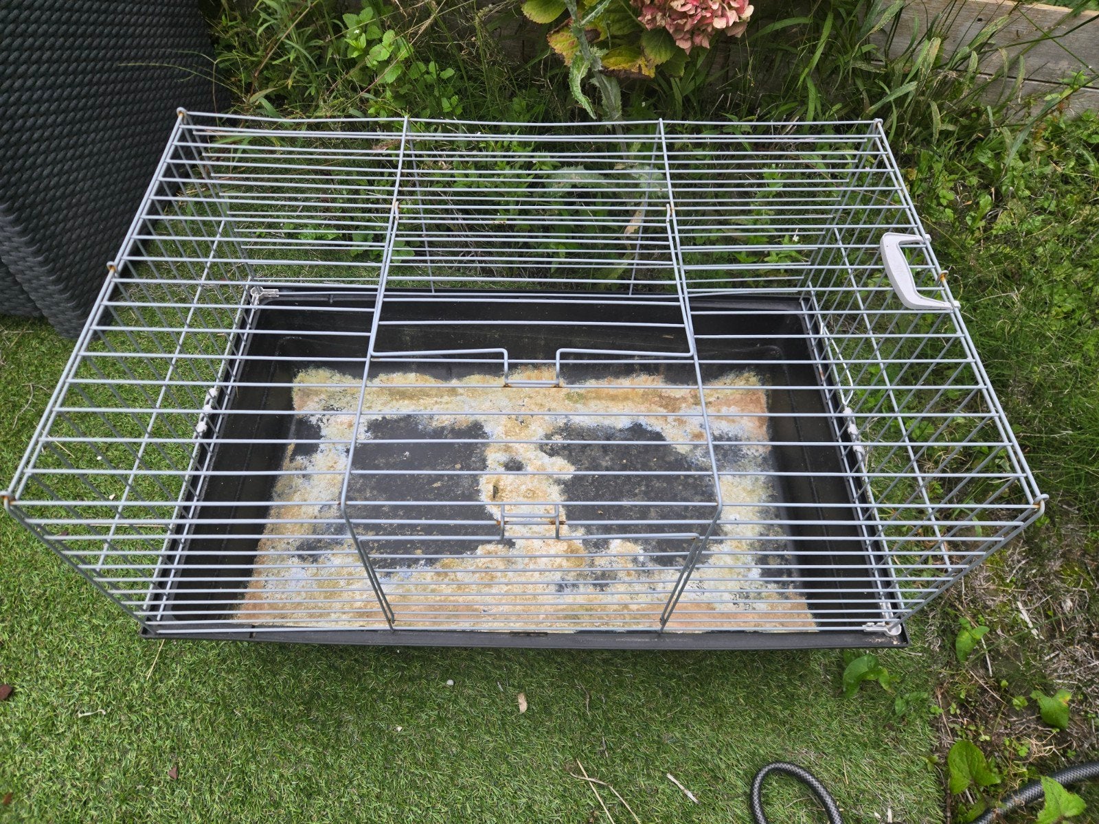 cavias, hamster, rabbit cage, Dieren en Toebehoren, Ophalen
