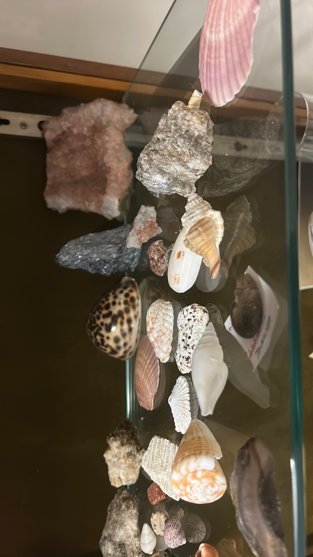 Mineralen en fossielen, Verzamelen, Mineralen en Fossielen, Ophalen of Verzenden
