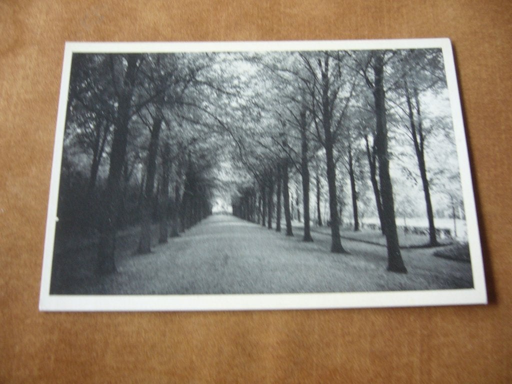 WARMOND  =  THEOLOGICUM  -  OPRIJ - LAAN, Verzamelen, Verzenden, 1920 tot 1940, Ongelopen