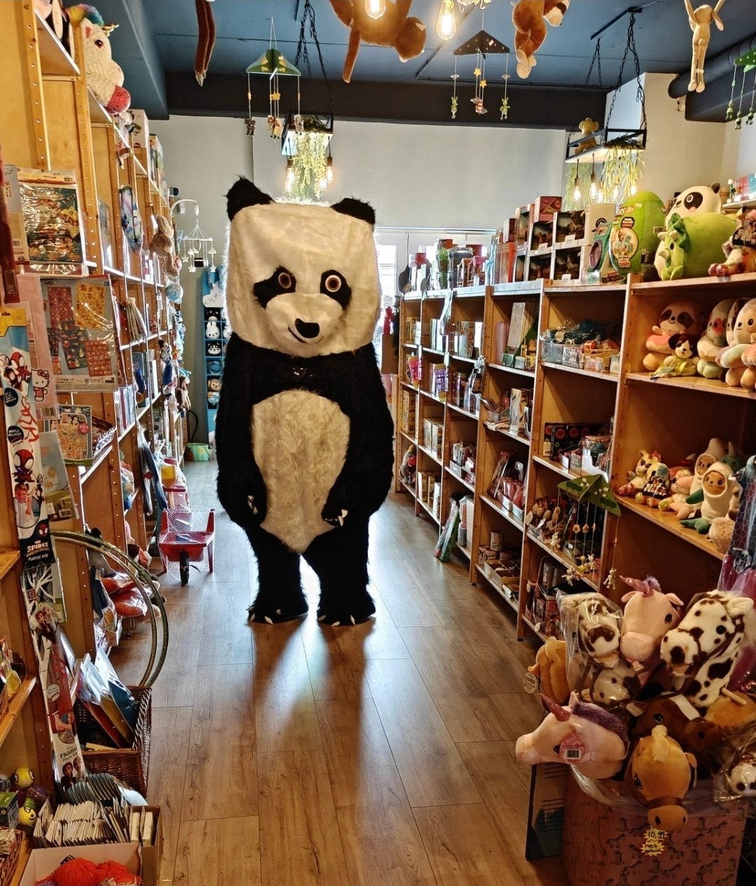 Panda mascotte kostuum, opblaasbaar, Ophalen of Verzenden, Zo goed als nieuw, Pak of Jurk