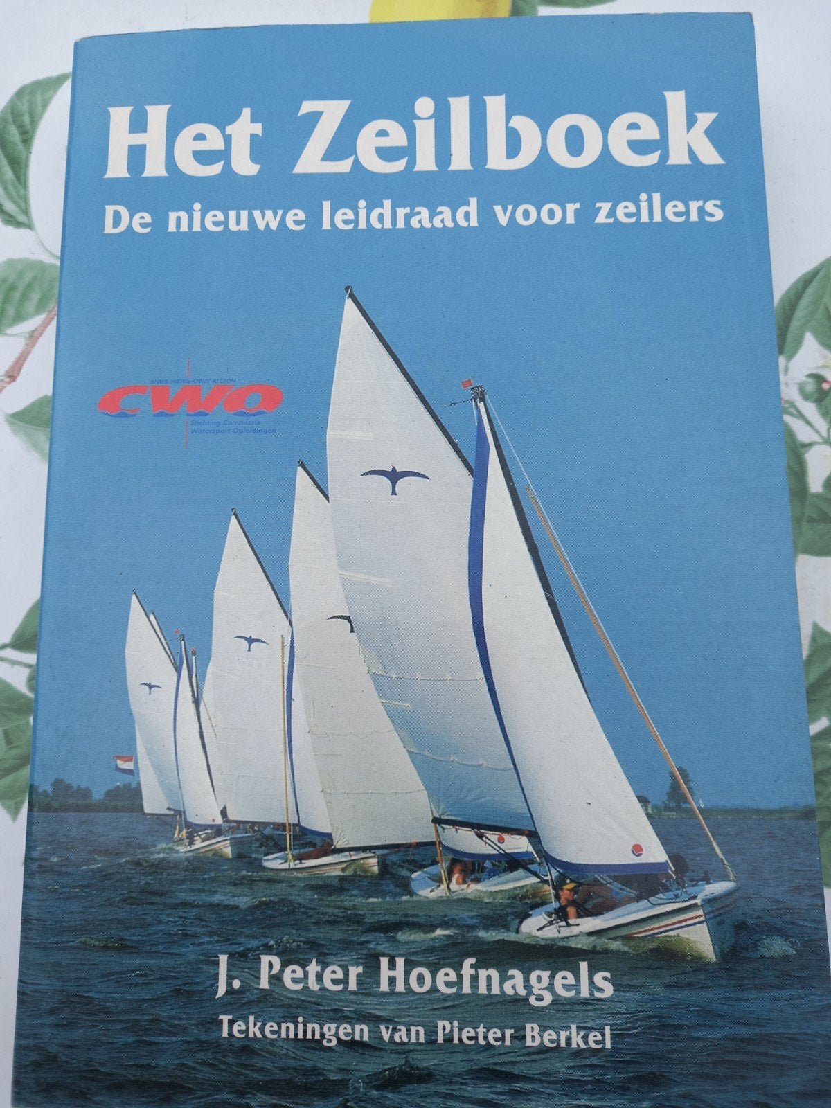 M6 Het Zeilboek: De nieuwe leidraad voor zeilers, Ophalen of Verzenden, Gelezen