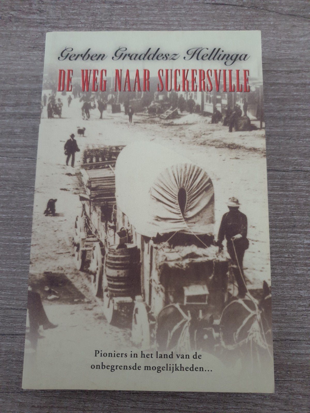 De Weg Naar Suckersville - Gerben Graddesz Hellinga, Boeken, Ophalen of Verzenden, Gelezen, Gerben Graddesz Hellinga