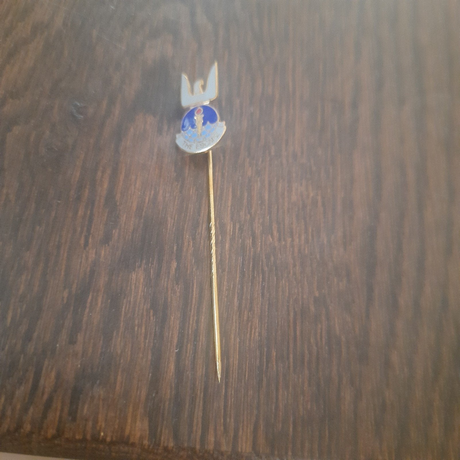 Vintage emaille speldje 'The Escape' met Adelaar en Fakkel, Ophalen of Verzenden, Gebruikt