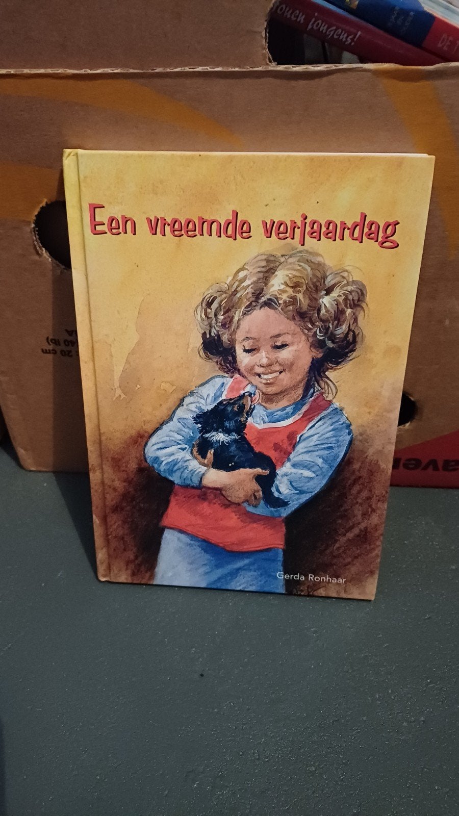 Een vreemde verjaardag - Gerda Ronhaar, Ophalen of Verzenden, Gelezen, Gerda Ronhaar, Fictie algemeen