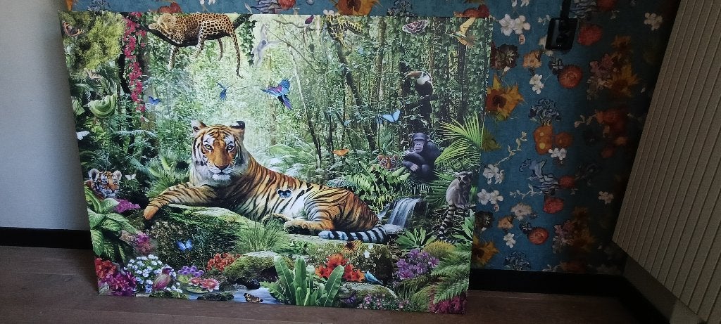 2 Canvas doeken, Ophalen, Nieuw, 125 cm of meer, Print